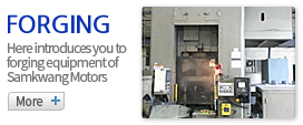Forging